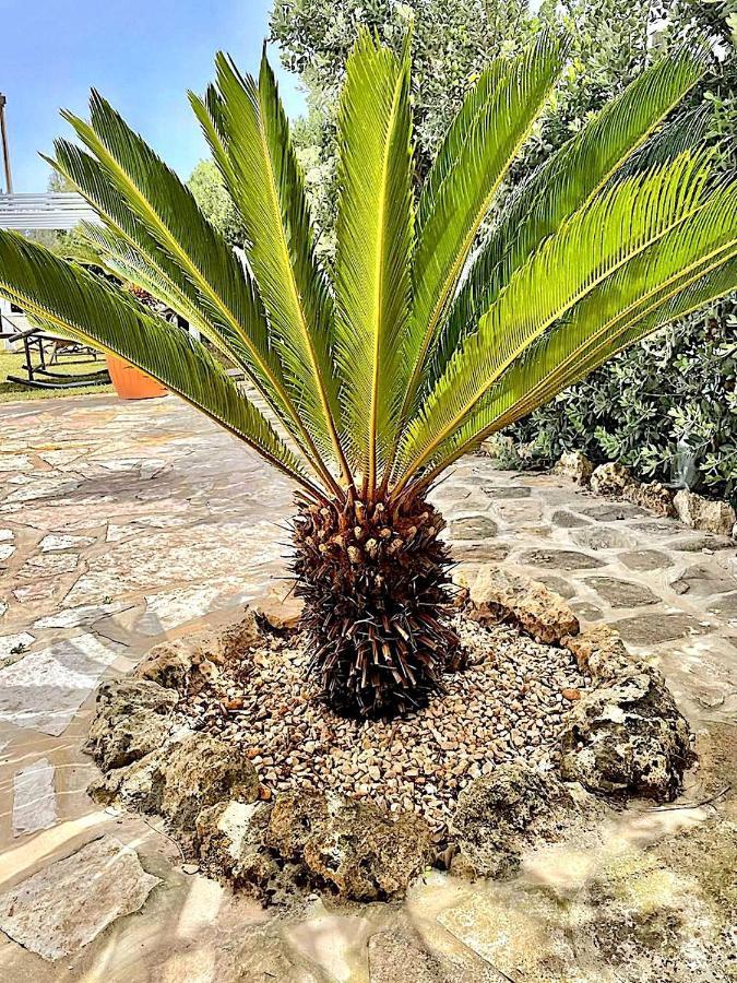 Lorelai Beach Marsala Exterior foto
